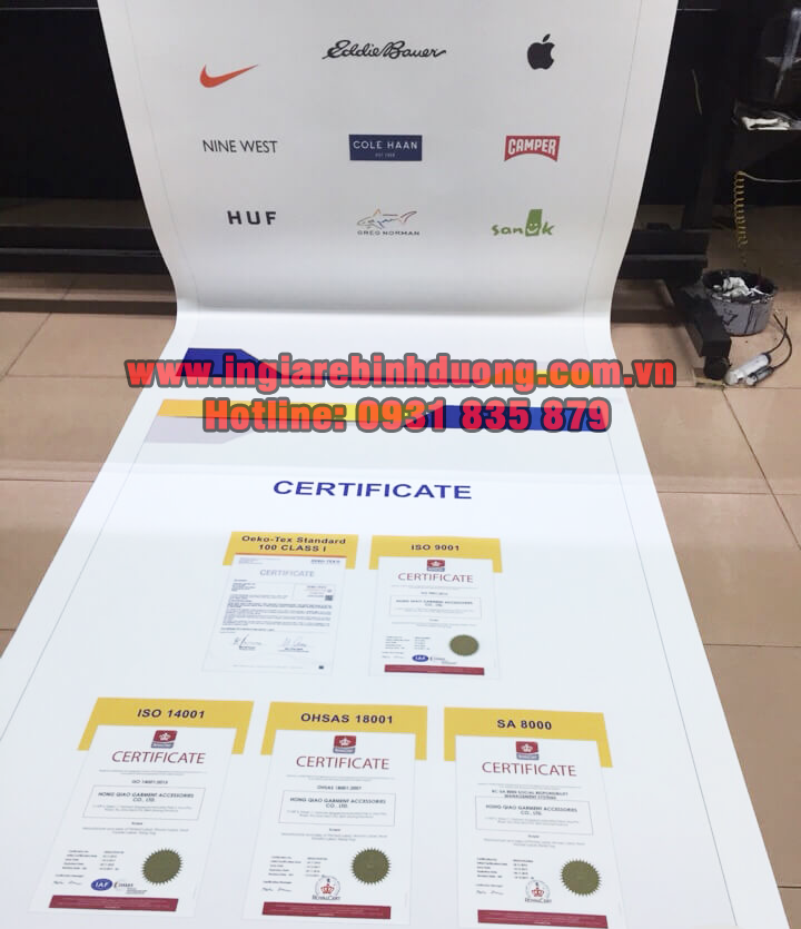 in-decal-pp-binh-duong